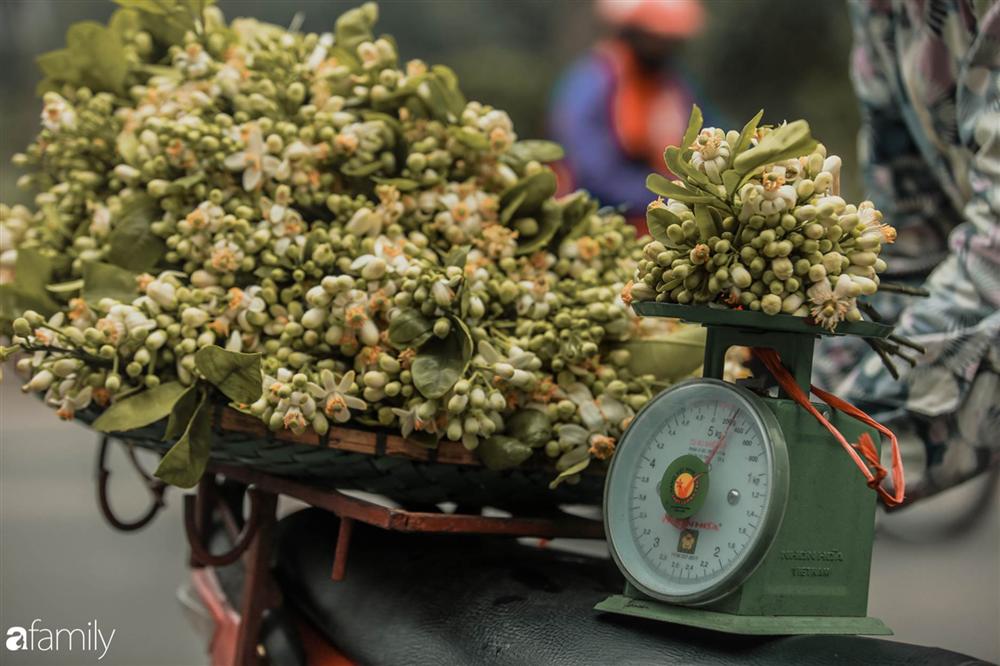 Chùm ảnh: Mùa hoa bưởi đã tỏa hương khắp đường phố Hà Nội, nhìn thấy lòng ai cũng xao xuyến, nhất định phải mang về mới thôi-7