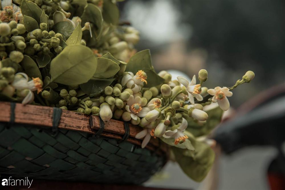 Chùm ảnh: Mùa hoa bưởi đã tỏa hương khắp đường phố Hà Nội, nhìn thấy lòng ai cũng xao xuyến, nhất định phải mang về mới thôi-8