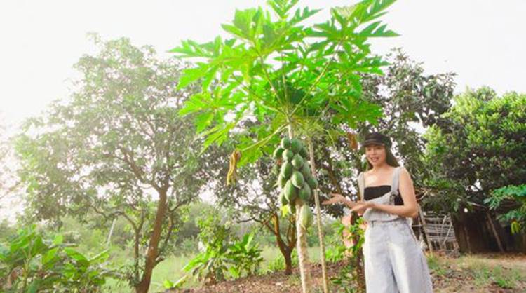 Mẹ đơn thân đổi đời khi có con: Ly Kute tậu nhà sang, bạn thân Ngọc Trinh có nông trại-11