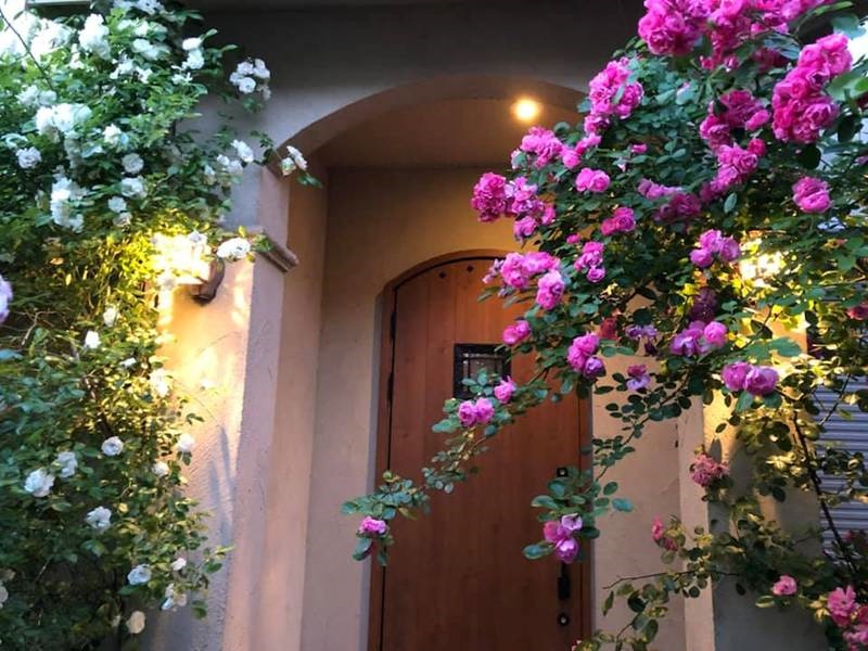 Say đắm ngắm vườn hồng đẹp tựa chốn thần tiên của người đàn ông Việt ở Nhật-9