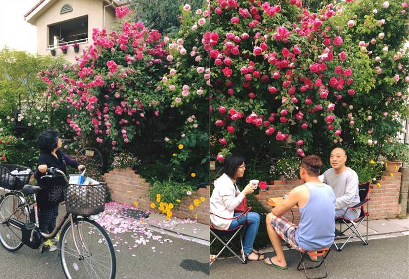 Say đắm ngắm vườn hồng đẹp tựa chốn thần tiên của người đàn ông Việt ở Nhật-10