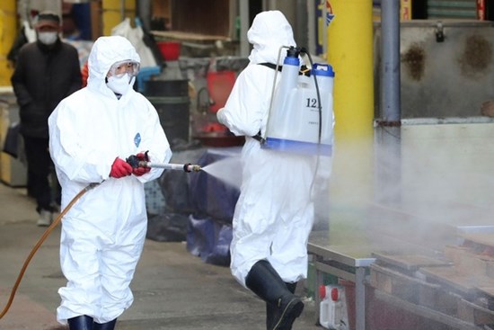 Nổi lên điểm nóng virus corona mới, chợ hải sản Vũ Hán được ‘giải oan'