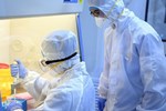 Hàn Quốc thêm 70 ca nhiễm, số người dương tính virus corona lên 833-2