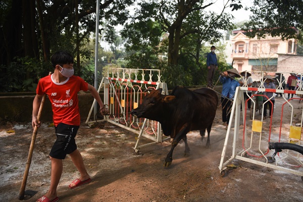 Nhịp sống ở tâm dịch Sơn Lôi những ngày phong toả-18