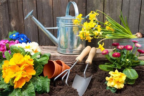Đừng vứt bã cà phê đi, bạn sẽ ngạc nhiên với nhiều công dụng: Đặc biệt là chị em phụ nữ