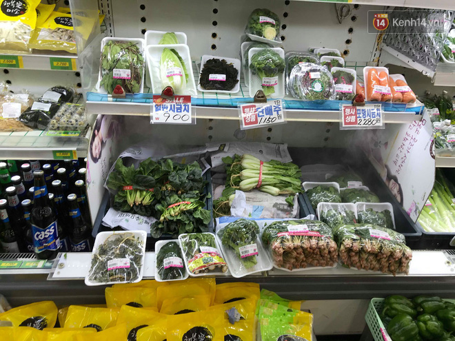 Du học sinh Việt tại tâm dịch Hàn Quốc: Nhiều người cấp tốc mua vé về nước, số khác ở lại vì sợ mang mầm bệnh về Việt Nam-3