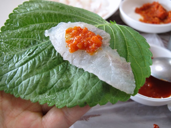 Đỉa biển, bạch tuộc và các món ăn sống lạ hấp dẫn du khách khi đến Hàn Quốc-1