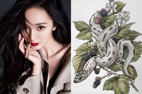 Tháng 2 âm lịch, những con giáp cẩn thận bị thần tài gạch tên, rước họa vào mình-3