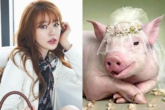 3 nàng giáp giỏi nhẫn nhịn nhưng 1 khi bị xúc phạm họ sẽ 'phản đòn' cực gắt, ai cũng phải sợ