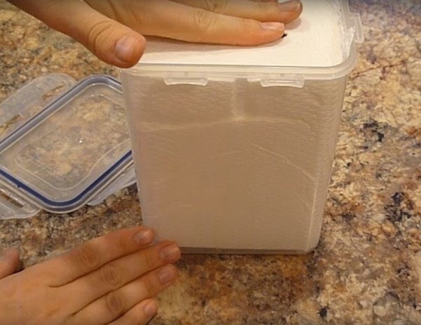 Đổ giấm vào giấy vệ sinh rồi cho vào tủ lạnh, biết công dụng ai cũng muốn học theo-2