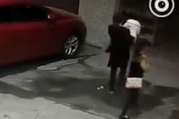 Cô gái ngã bất tỉnh, gãy 3 xương cổ vì bị chó rơi trúng đầu