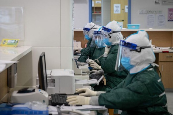 WHO bác tin đồn virus SARS-CoV-2 có thể lây truyền qua muỗi-2