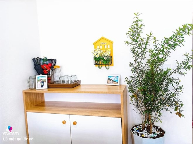 Mua chung cư trả góp 60m2, 9X Đắk Lắk thiết kế đẹp ngất ngây chỉ với 100 triệu-12