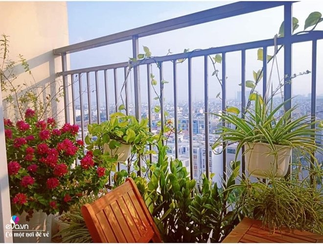 Mua chung cư trả góp 60m2, 9X Đắk Lắk thiết kế đẹp ngất ngây chỉ với 100 triệu-13