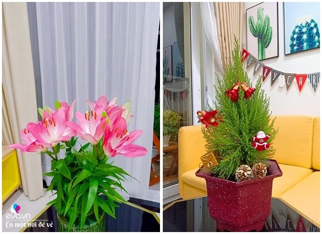 Mua chung cư trả góp 60m2, 9X Đắk Lắk thiết kế đẹp ngất ngây chỉ với 100 triệu-16