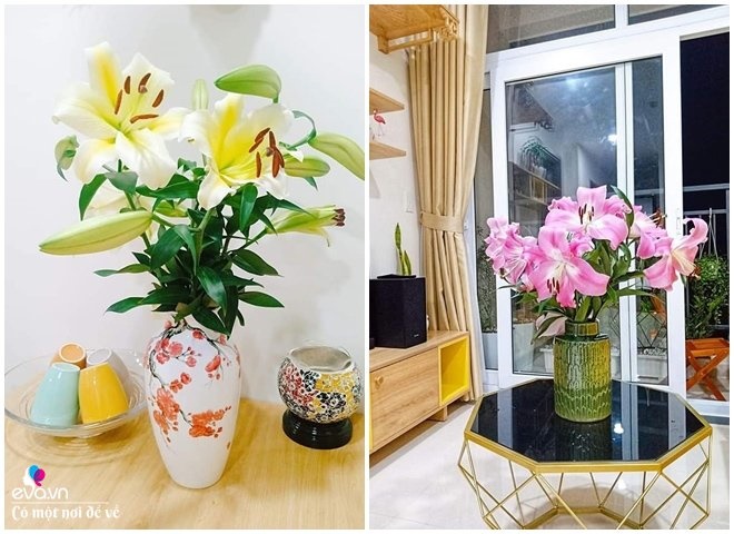 Mua chung cư trả góp 60m2, 9X Đắk Lắk thiết kế đẹp ngất ngây chỉ với 100 triệu-18