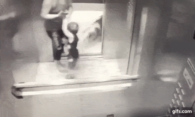 Khoảnh khắc ám ảnh: Chó lao vào thang máy tấn công bé trai 18 tháng tuổi, bảo mẫu đi cùng trở tay không kịp-4