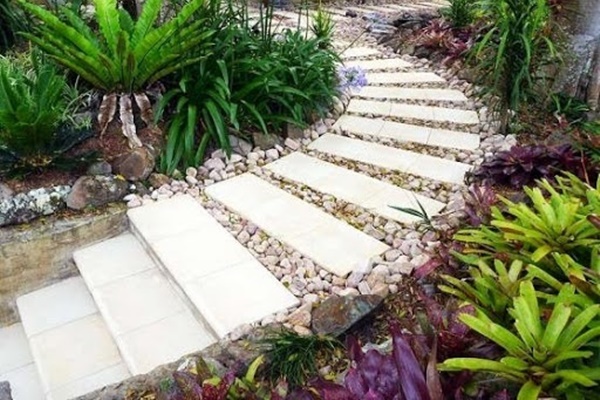 Trồng cây ngay gần cửa và 6 đại kỵ phong thủy trước nhà gia đình nào cũng sai-4