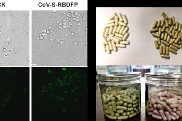 Mặc Covid-19, bác sĩ thực hiện hồi sức tim phổi cho cụ ông giữa chợ-1