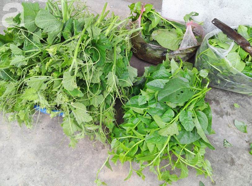 Cùng xem cách chi tiêu của đôi vợ chồng mới cưới ở giữa Hà Nội thu nhập 14 triệu nhưng tháng nào cũng để ra được 8 triệu-2