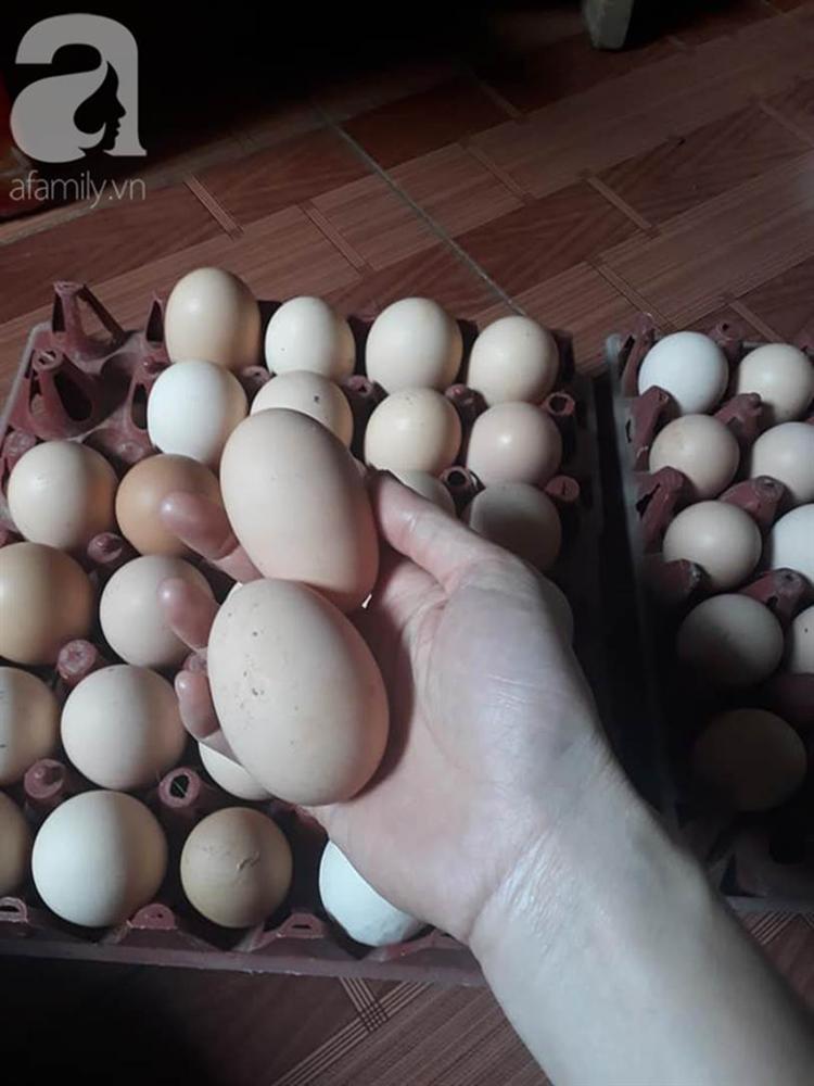 Cùng xem cách chi tiêu của đôi vợ chồng mới cưới ở giữa Hà Nội thu nhập 14 triệu nhưng tháng nào cũng để ra được 8 triệu-5