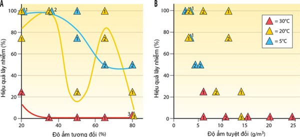 Chuyện kể từ phòng thí nghiệm nghiên cứu virus cúm: Những đặc tính kỳ lạ của con cúm-4