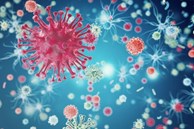 Chuyện kể từ phòng thí nghiệm nghiên cứu virus cúm: Những đặc tính 'kỳ lạ' của “con cúm'