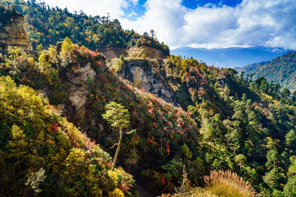 Kinh nghiệm du lịch tại đất nước hạnh phúc Bhutan-8