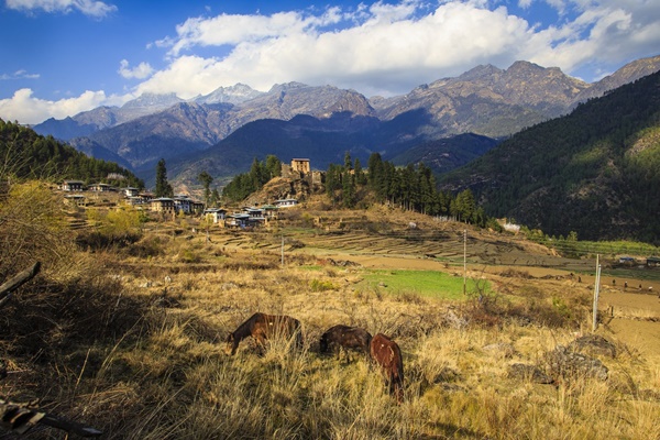Kinh nghiệm du lịch tại đất nước hạnh phúc Bhutan-10