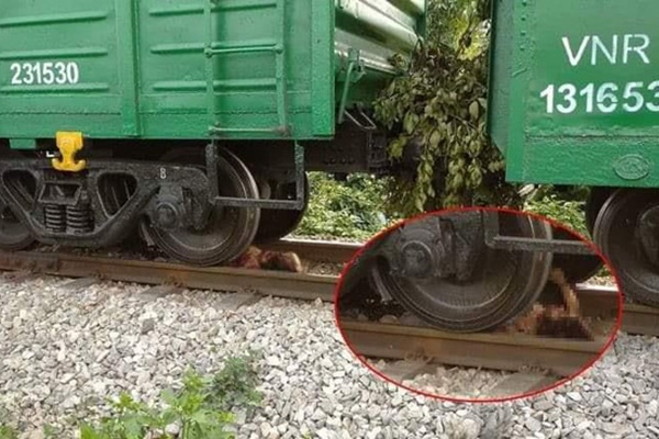 Hà Nội: Sau khi cãi nhau, người phụ nữ lao vào đường tàu bị cán cụt chân-1