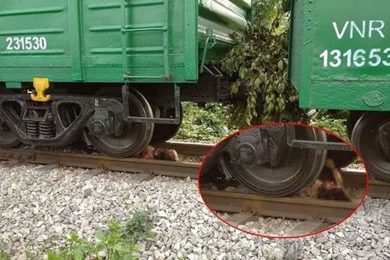 Hà Nội: Sau khi cãi nhau, người phụ nữ lao vào đường tàu bị cán cụt chân