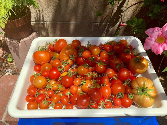 Cuộc sống của Phương Thảo - Ngọc Lễ sau 15 năm sang Mỹ định cư giờ ra sao?-4