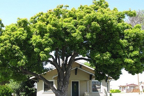 Chớ dại kê giường ngủ ở những vị trí phạm phong thuỷ-5