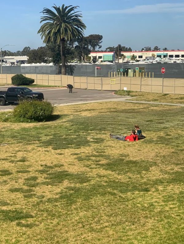 Nhật ký 14 ngày cách ly đơn độc của cô gái Mỹ gốc Hoa: Ngày Valentine đặc biệt nhất-5