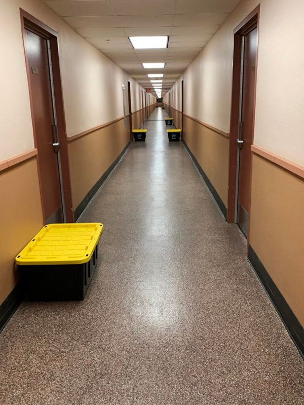 Nhật ký 14 ngày cách ly đơn độc của cô gái Mỹ gốc Hoa: Ngày Valentine đặc biệt nhất-6