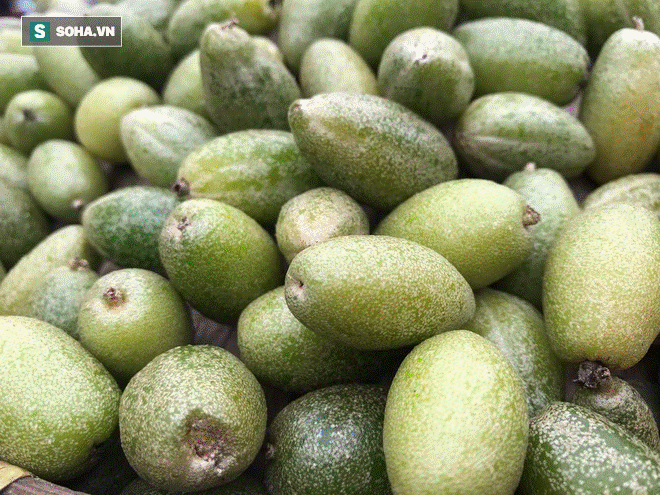 Kiếm tiền triệu mỗi ngày nhờ bán rong quả xanh đầu mùa-2