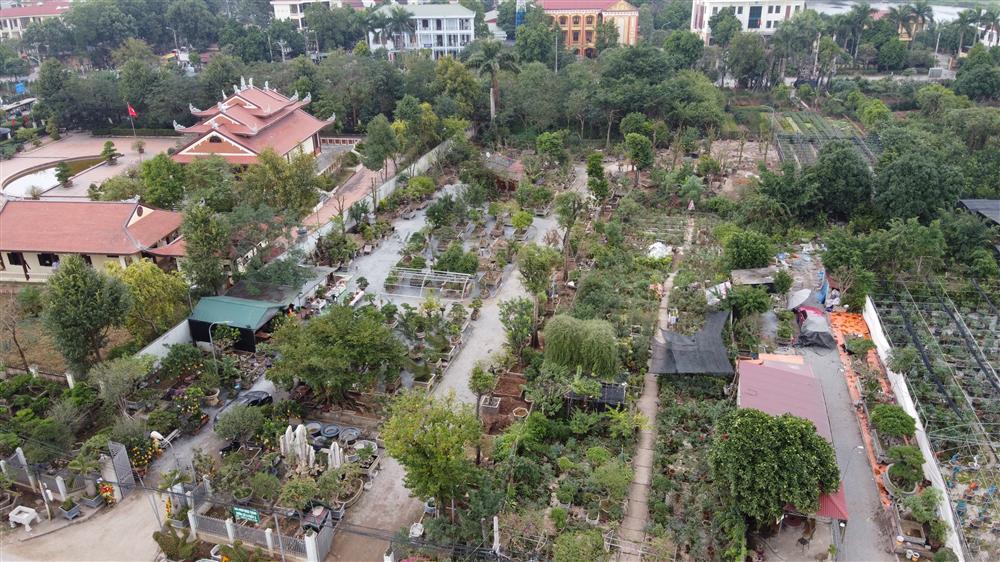 Hoa mắt trước khu vườn triệu đô của ông vua cây cảnh-1