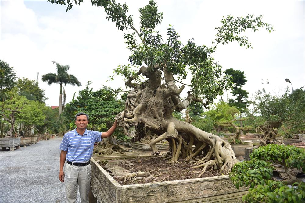 Hoa mắt trước khu vườn triệu đô của ông vua cây cảnh-11