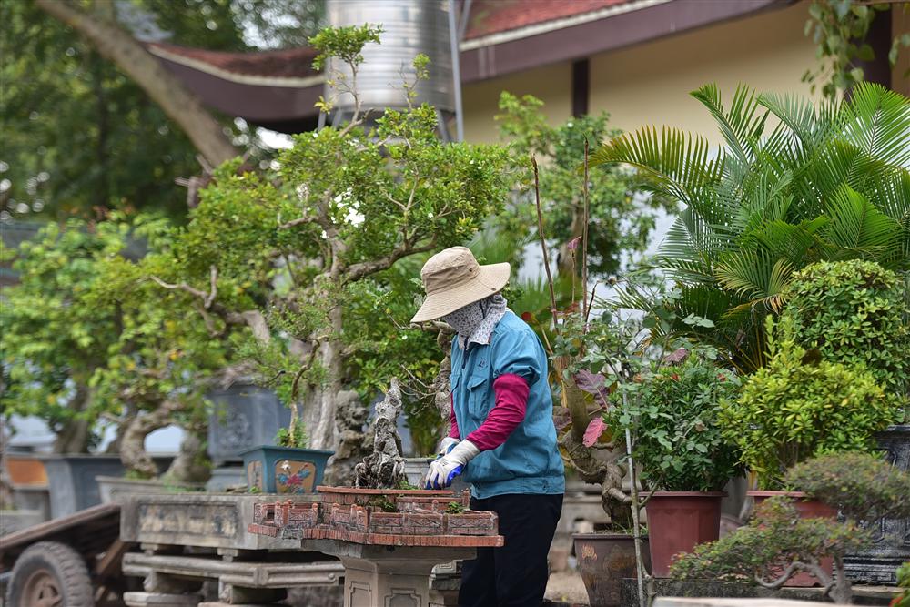 Hoa mắt trước khu vườn triệu đô của ông vua cây cảnh-8