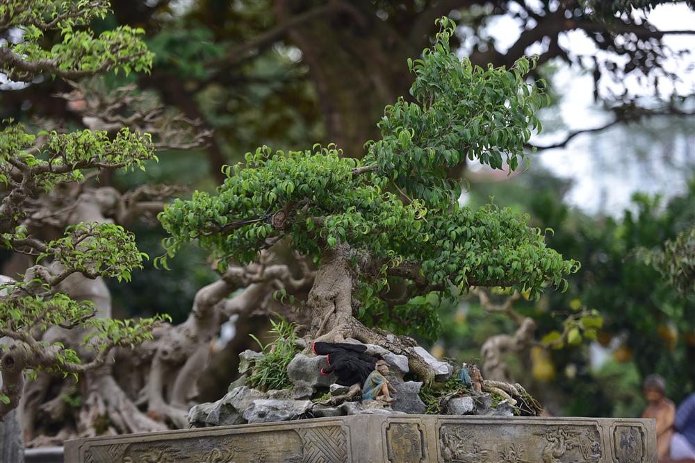 Hoa mắt trước khu vườn triệu đô của ông vua cây cảnh-15