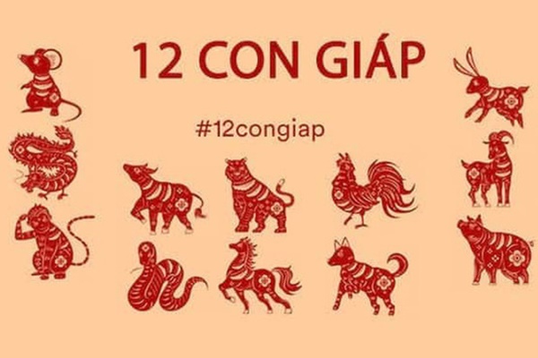 4 con giáp có khả năng vươn lên mạnh mẽ, tự tin, kiên định hơn người: Sự nghiệp vững vàng, công thành danh toại-4