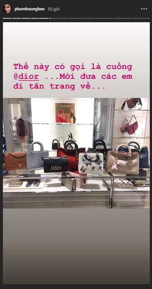 Sắm túi hiệu mỏi tay nhưng Phạm Hương yêu thích đúng một đôi bông tai-2