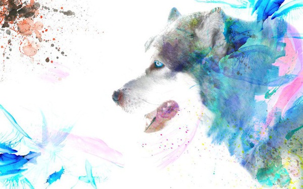 3 con giáp có ít tháng vận hạn nhất năm Canh Tý, cuộc sống đầy đủ, viên mãn-3