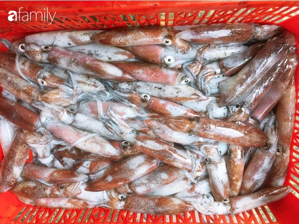 Smart moms in Hai Phong give tips to city sisters to choose fresh squid like coastal residents-6