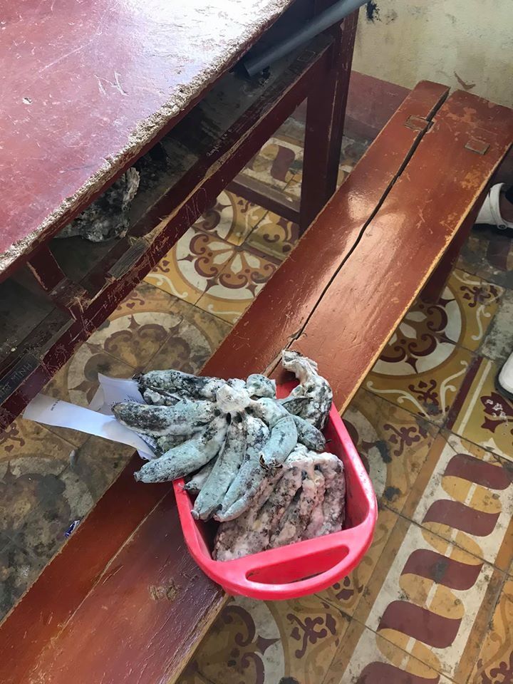 Quay trở lại trường sau kì nghỉ dài, học sinh hết hồn khi phát hiện vật thể lạ trong ngăn bàn và sự thật tức cười-2