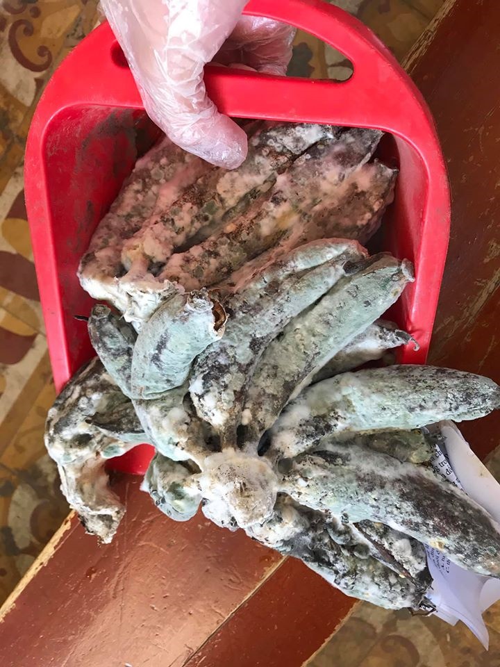 Quay trở lại trường sau kì nghỉ dài, học sinh hết hồn khi phát hiện vật thể lạ trong ngăn bàn và sự thật tức cười-3