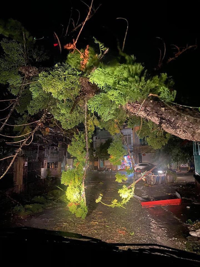 Mưa đá bất ngờ ở Yên Bái, Lào Cai: Hạt mưa to như viên bi, gió quật đổ mái nhà, cây cối đổ rạp xuống đường-5