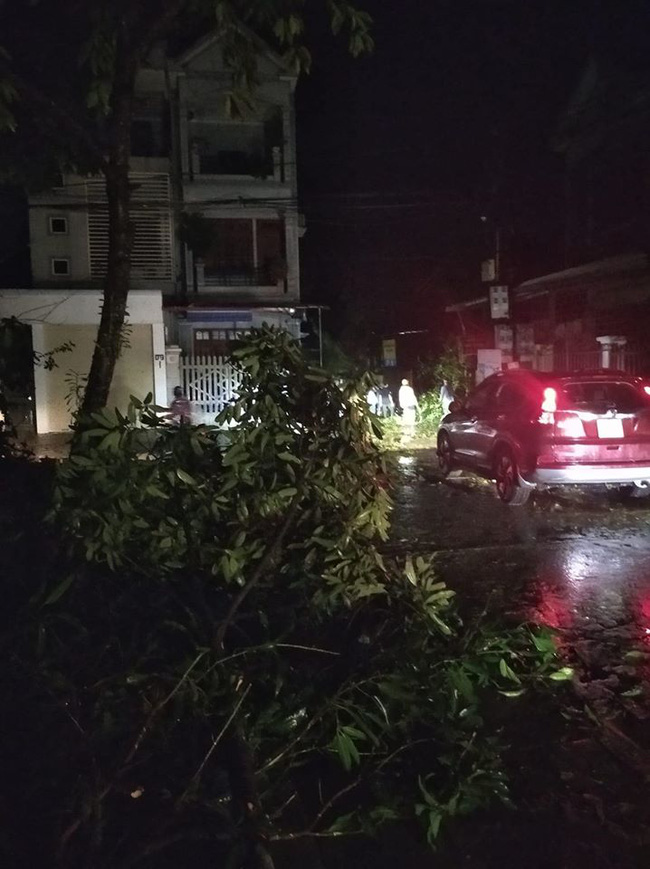 Mưa đá bất ngờ ở Yên Bái, Lào Cai: Hạt mưa to như viên bi, gió quật đổ mái nhà, cây cối đổ rạp xuống đường-6