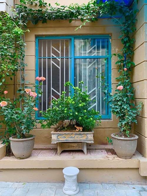 Quang Tèo: Từ nghệ sĩ nghèo 13 năm hiếm muộn đến nhà 7 tỷ, chốn về hưu đẹp rụng rời-2