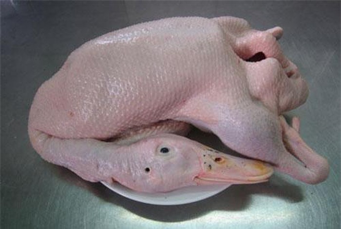 Cách chọn vịt ngon không tiêm nước, không ốm bệnh, chị em nên biết-1